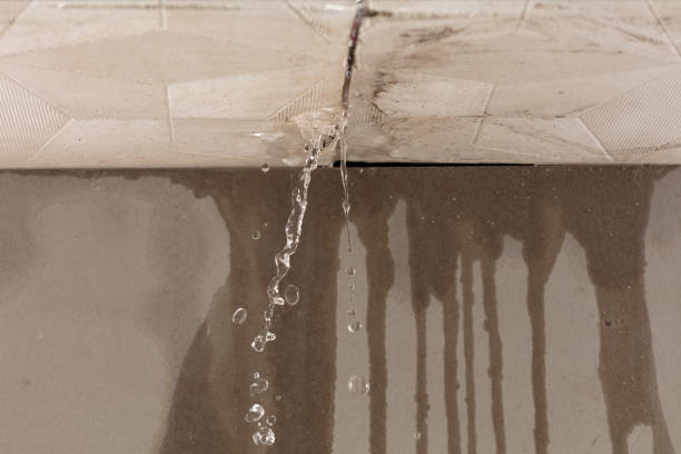 Professional Burst Pipe Cleanup technician working in Firth, NE